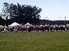 massed bands marching across field
